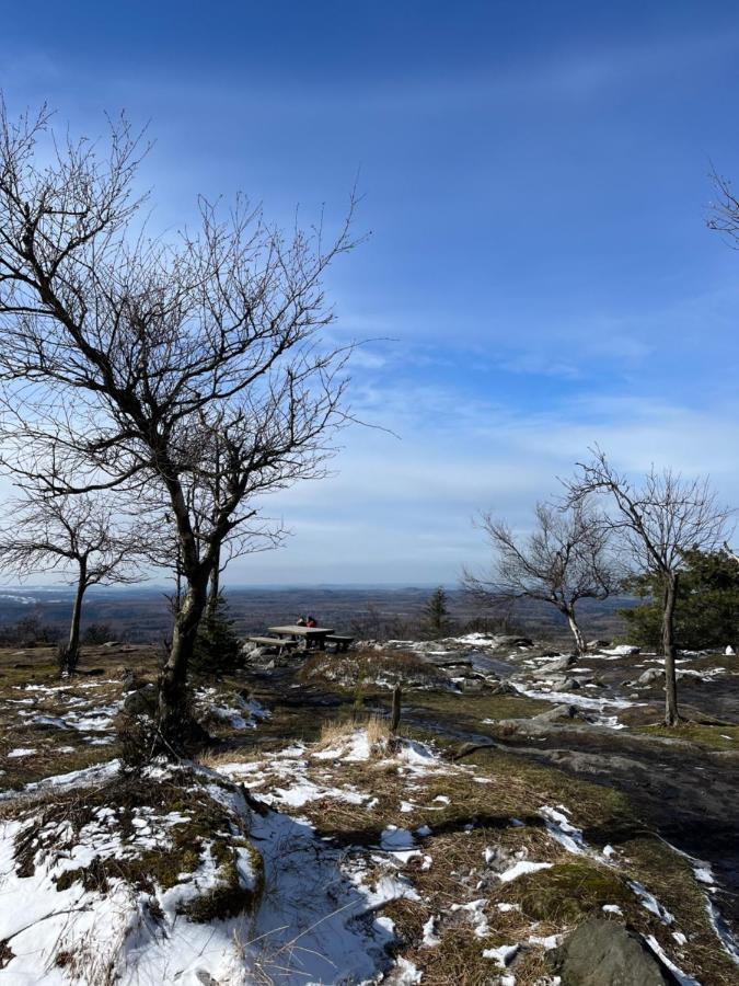 U Vaclava Bed & Breakfast Hrensko Luaran gambar