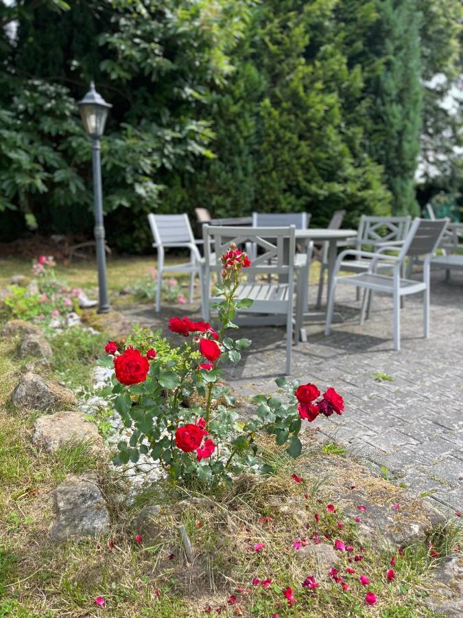 U Vaclava Bed & Breakfast Hrensko Luaran gambar