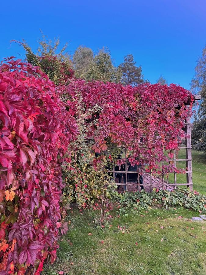 U Vaclava Bed & Breakfast Hrensko Luaran gambar